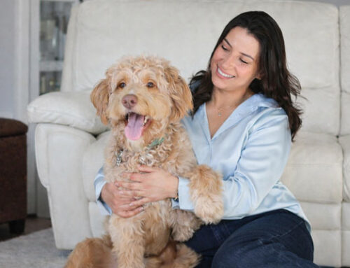 Pet Hair and Dander Hotspots: A Room-by-Room Cleaning Plan for Richmond Homes